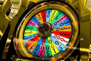 derekturtoto What You'll Find in Our Live Casino Lobby